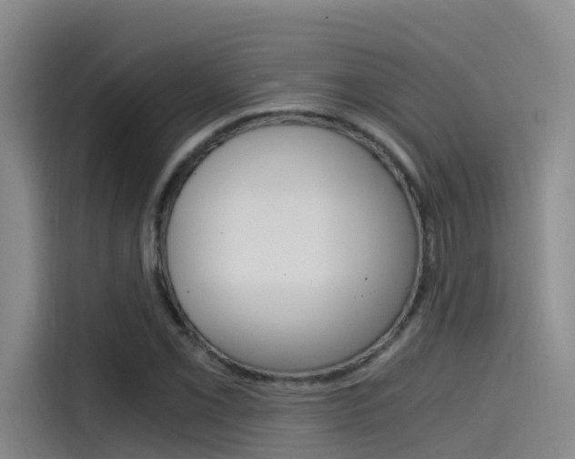 X0000114591069200910191029