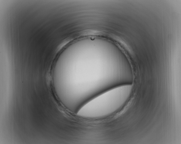 X0000114591073200910191029