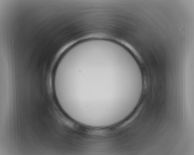 X0000114591078200910191029