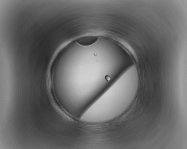 X0000114591080200910191029