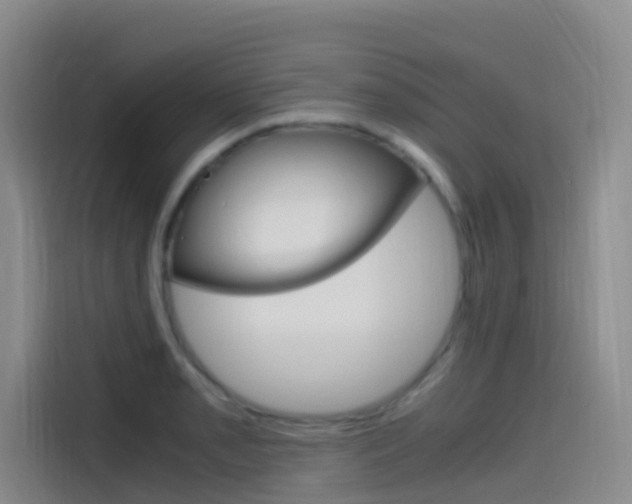 X0000114591085200910191029