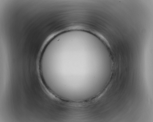 X0000114591086200910191029