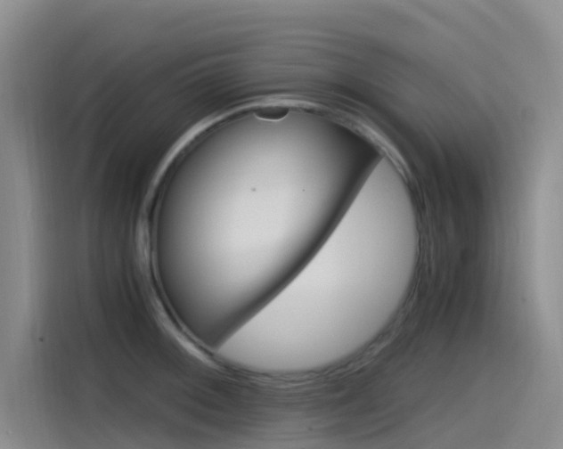 X0000114591092200910191029