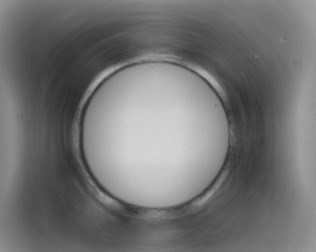 X0000114591094200910191029