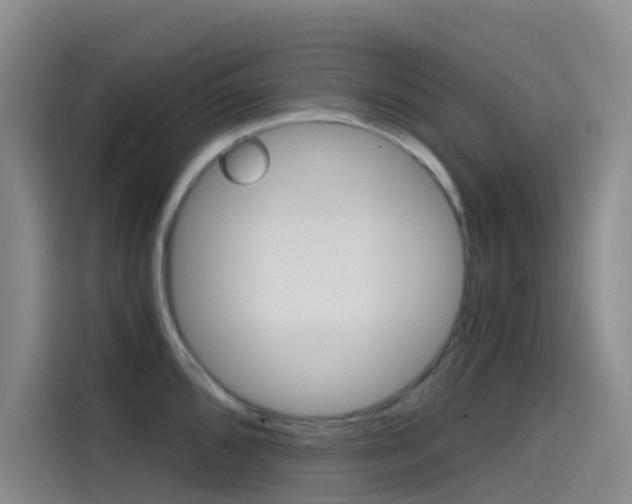 X0000114591096200910191029