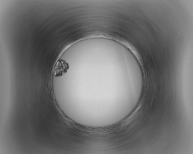 X0000114591097200910191029