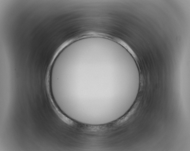 X0000114591098200910191029