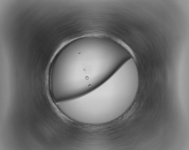 X0000114591099200910191029