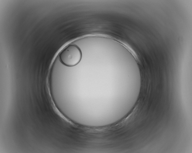 X0000114591100200910191029