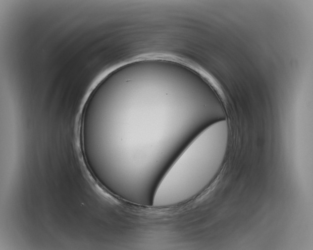 X0000114591102200910191029