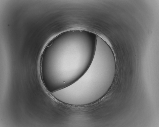 X0000114591104200910191029
