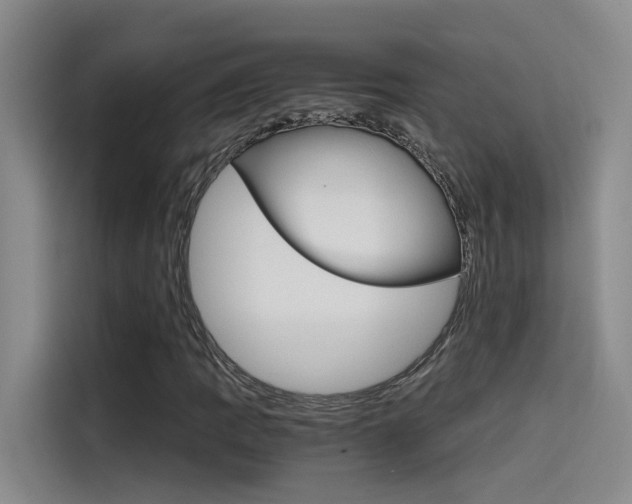 X0000114591109200910191028