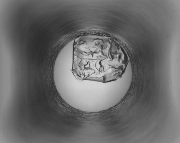X0000114591110200910191028
