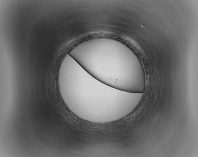 X0000114591111200910191028