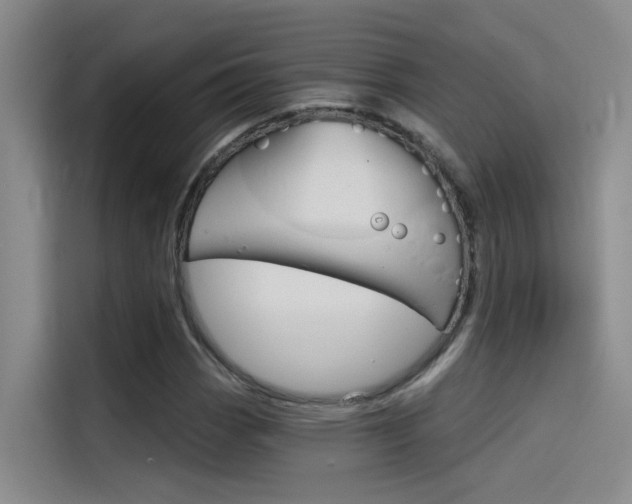 X0000114591113200910191028