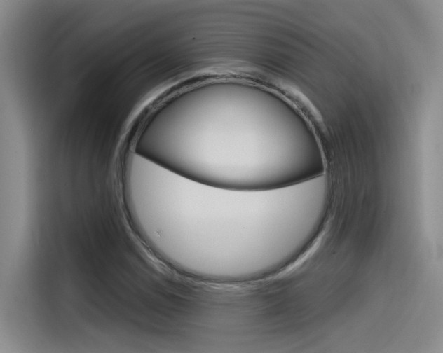 X0000114591114200910191028