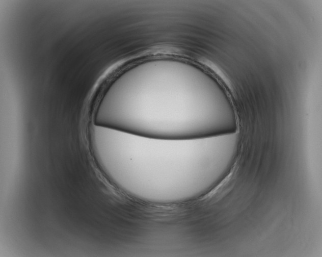X0000114591115200910191028