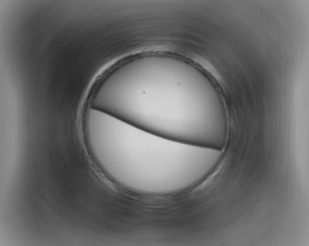 X0000114591119200910191028