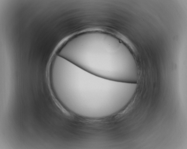 X0000114591127200910191028