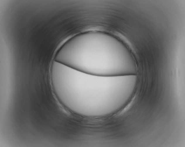 X0000114591129200910191029