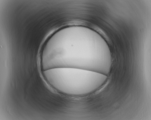 X0000114591130200910191029