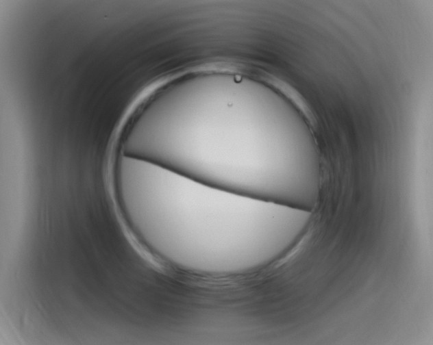 X0000114591131200910191029