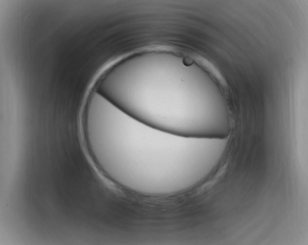 X0000114591133200910191029