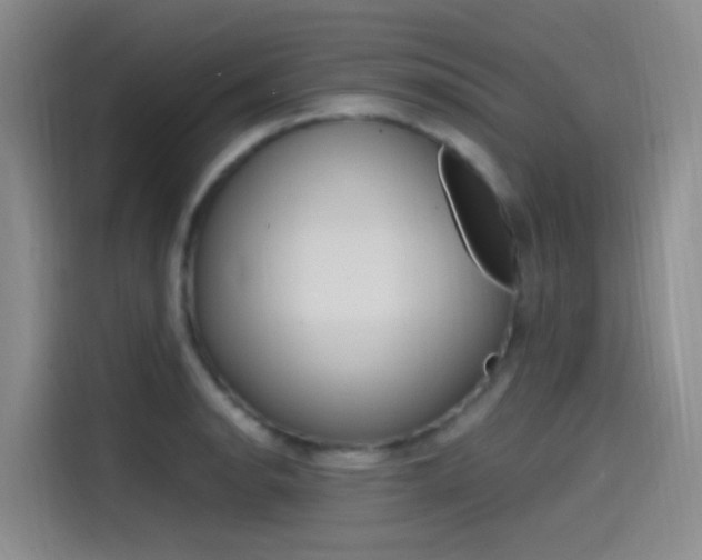 X0000114591134200910191029