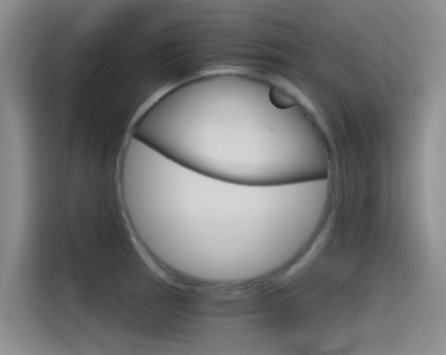 X0000114591137200910191029