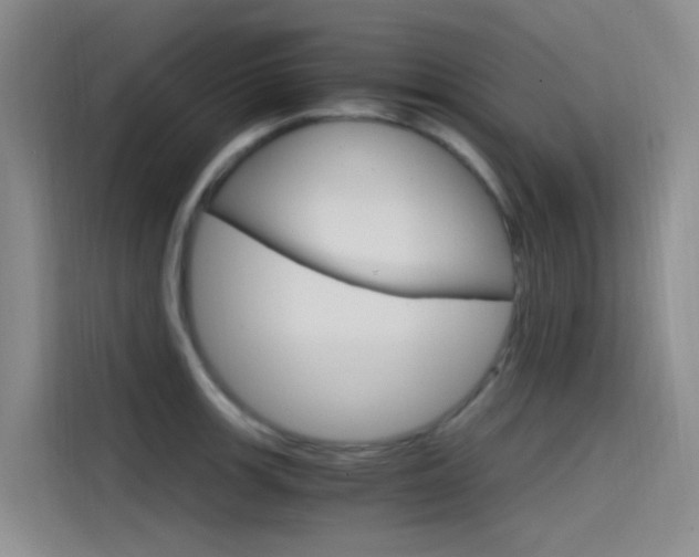 X0000114591139200910191029