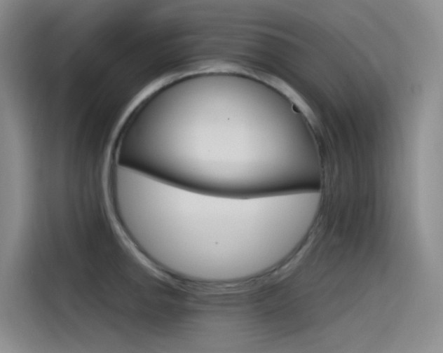 X0000114591142200910191029