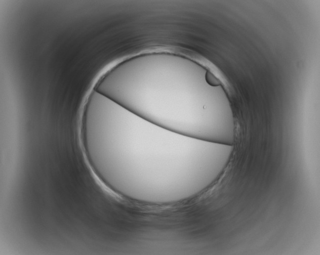 X0000114591143200910191029