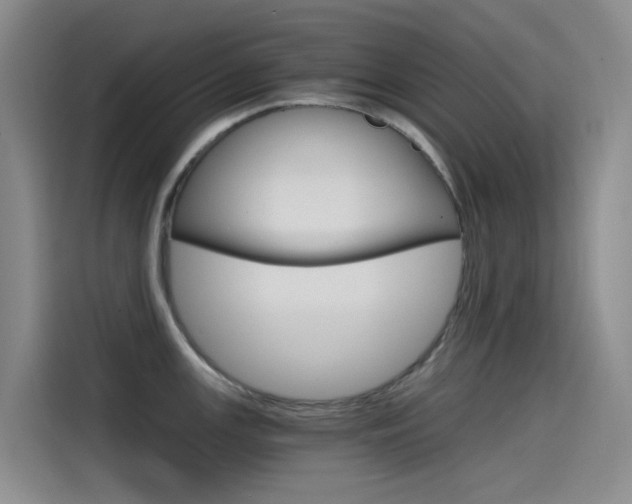 X0000114591147200910191029