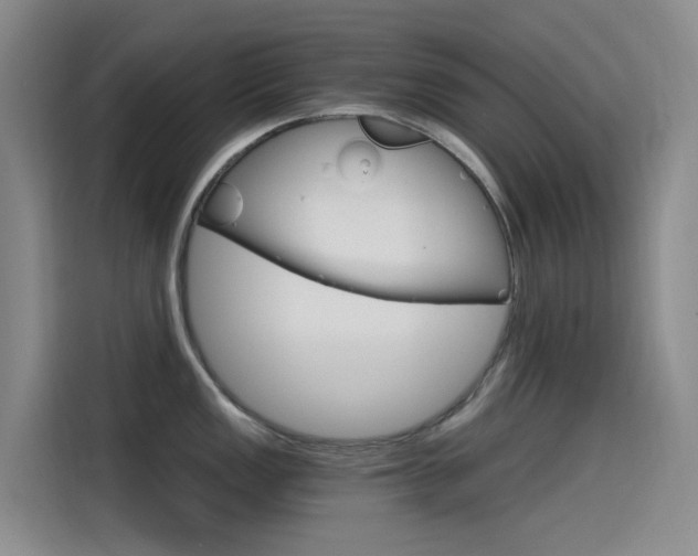 X0000114591149200910191029