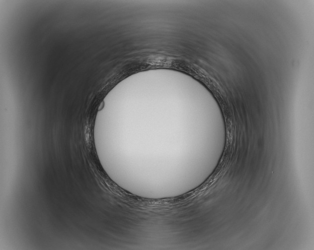 X0000114591154200910191028