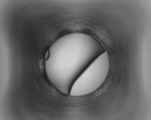X0000114591156200910191028