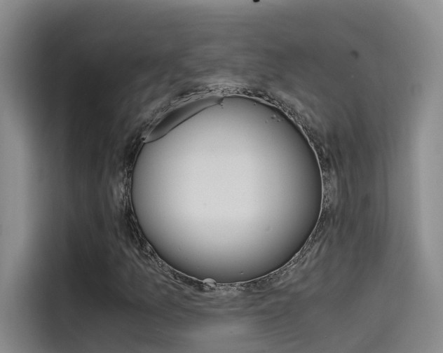 X0000114591157200910191028