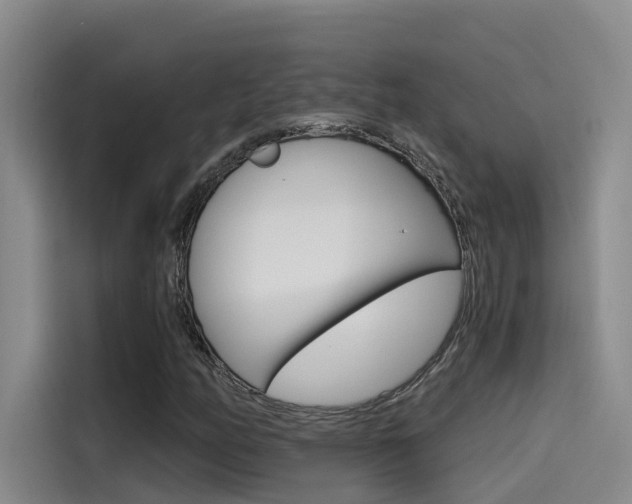 X0000114591158200910191028