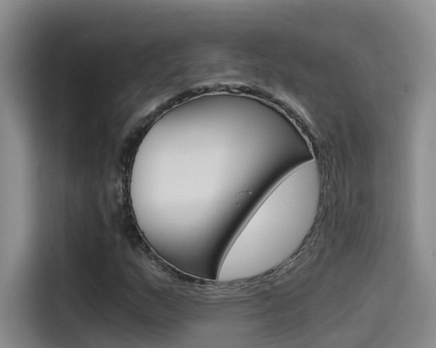 X0000114591159200910191028