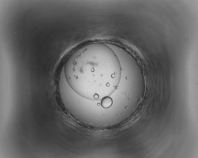 X0000114591160200910191028
