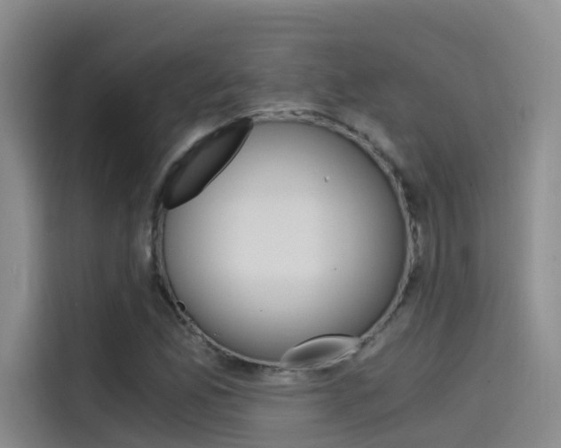 X0000114591165200910191028
