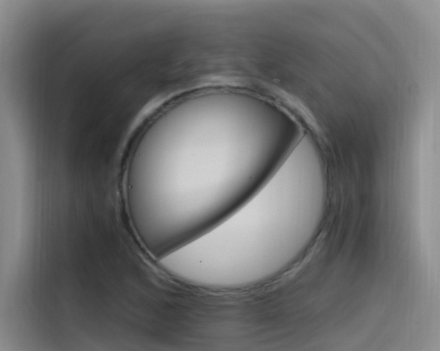 X0000114591168200910191028