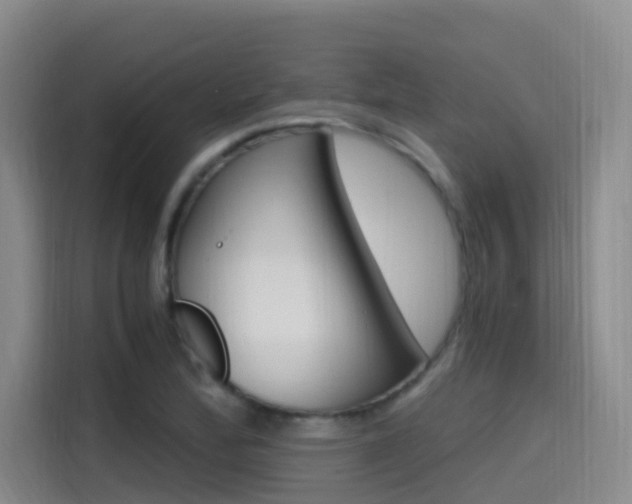X0000114591172200910191028