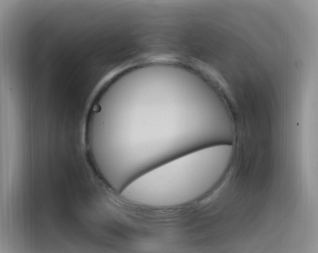 X0000114591174200910191028