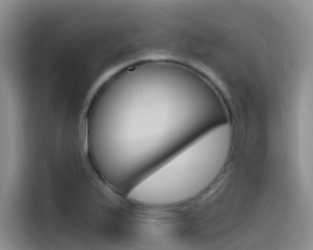 X0000114591175200910191028