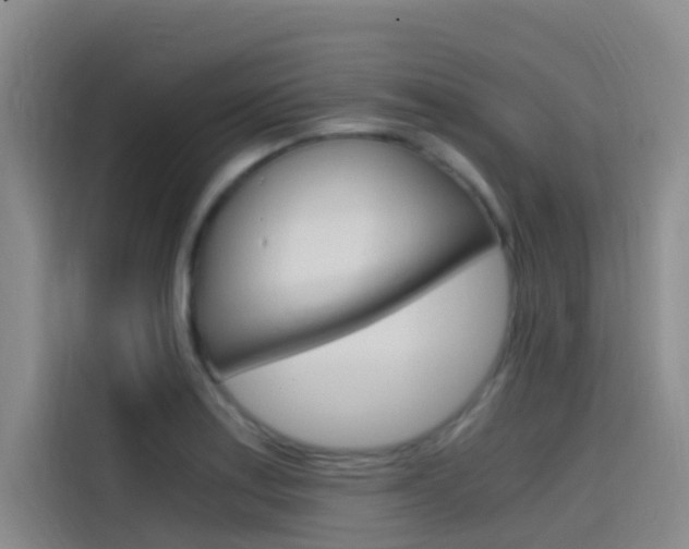 X0000114591179200910191028