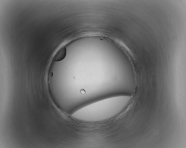 X0000114591181200910191028