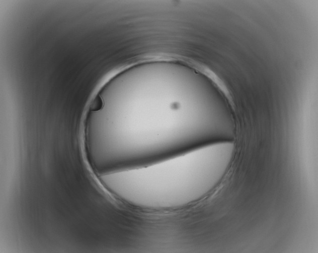 X0000114591187200910191028