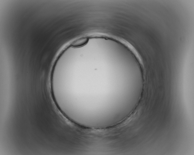 X0000114591191200910191028