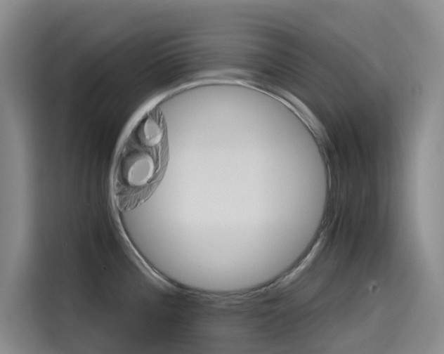 X0000114591196200910191028